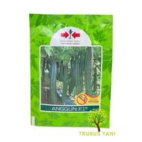 NEW Benih Gambas Oyong ANGGUN F1 10gr