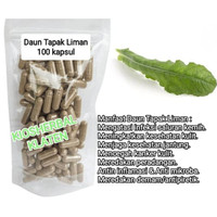 Borong Tapak Liman Isi 100 Kapsul Untuk Pegel Linu Encok