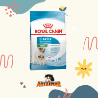 Royal Canin Dog Mini Starter Mother Baby 4kg makanan anjing