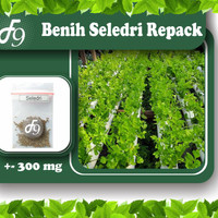 alat pertanian taman garden benih bibit sayuran seledri murah repack seribuan