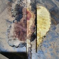 duri burl campur 500 gram 2 cm