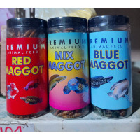 Maggot Pakan Ikan Chana Channa Auranti Maru Arwana Magot Kering Cana 50 Gram
