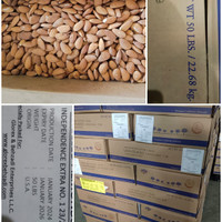 Kacang Almond Kupas Raw Mentah 1kg