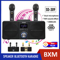 Mic Karaoke Wireless Speaker Bluetooth SDRD SD 306 / SD 309 Dua Mic