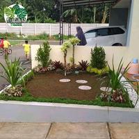 taman depan rumah anting putri dan rumput