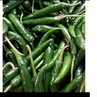 Lombok Ijo / Cabe Hija Besar