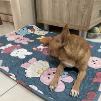 WASHABLE PEE PAD MOTIF 50x70cm/alas pipis kelinci/alas tidur