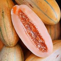 Benih Buah Timun Mas Renyah Manis Oranye Termurah