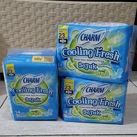 Charm cooling fresh natural cucumber 23cm wing 14pads