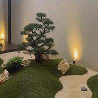 Spesialist taman rumah zen99