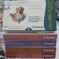 REVOLUTION DOG (HARGA 1 BOX ISI 3 TUBE) OBAT KUTU ANJING REVOLUTION
