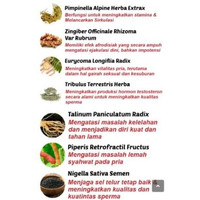 CP - madu mr prima/madu prima/madu kuat/madu durasi lama/jamu kuat/madu herbal
