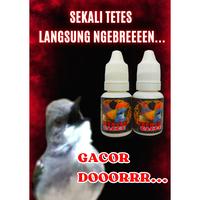 Vitamin PRENJAK GACOR penggacor burung ciblek cisem prenjak CIWAHCIGUN DAN BURUNG LAINNYA