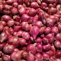 Bawang Merah Super 250 gr ( Sedang )