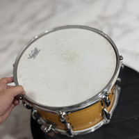 Snare Drum Pearl Maple shell 12x7