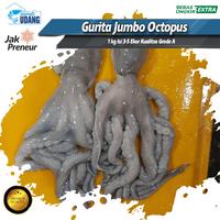 Gurita Laut Jumbo 2kg Isi 1-2 Ekor / Gurita Octopus Besar Grade A