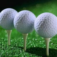 IMPORT PRACTICE GOLF BALLS 10 PCS WHITE TRUE FLIGHT SOFT INDOOR AIR BALL'S