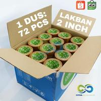 LAKBAN CORTAPE 48mm PANJANG 90Y DUS