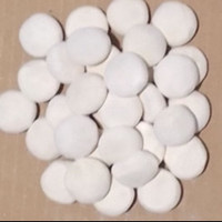 10 butir Ragi Tape (3gr/butir)