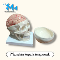 PHANTOM MANEKIN KEPALA TENGKORAK MANUSIA / PERAGA OTAK TEMGKORAK KEPALA