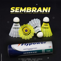 shuttlecock flypower sembrani