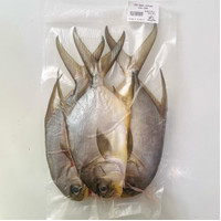 Ikan Bawal Bintang / Bawal Jepang Frozen Premium
