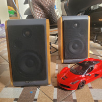 WOHOME speaker monitor musik