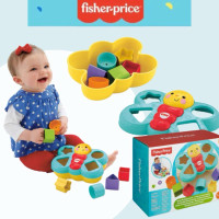 Fisher Price Butterfly Shape Sorter CDC22