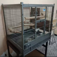 kandang burung untuk ternak burung Parrot Afgrey,SC dll