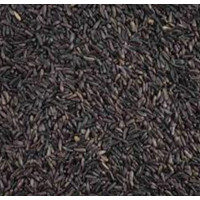 1KG  BIJI NIGER SEED NIGGER SEED  UNTUK BURUNG PEMAKAN BIJI BIJIAN BERSIH DAN SANGRAI