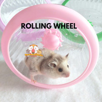 HAMMYLANDS - ROLLING WHEELS KINCIR HAMSTER, GERBIL & SUGAR GLIDER