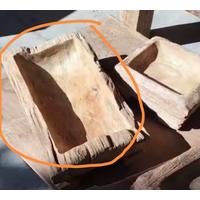 3 Pcs Pot Bonsai Kayu Jati Natural Erosi Custom Bp. Djon di Tangerang