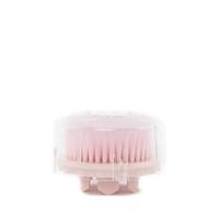 READY STOCK!! 4D Korea Refill Brush 1pcs