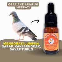 Obat Lumpuh Merpati Sayap Turun Dan Masalah Pada Saraf