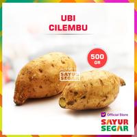 [CIBUBUR] UBI CILEMBU PREMIUM [800g] FRESH