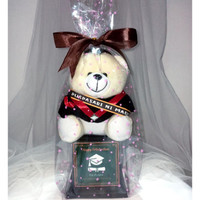 Kado Wisuda / TropyTeddy bear
