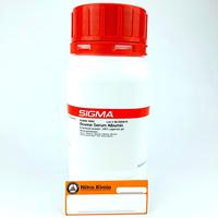 ER_01 BSA/Albumin/Albumine/Bovine Serum Albumine/Bovin Serum Albumin