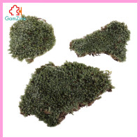 (YYDS) Miniatur Rumput Lichen Moss Skala 1: 35 Warna Hijau Untuk