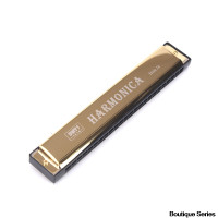 24-hole C Blowing Harmonica Double Row Blues Harmonica for Beginners