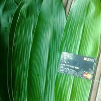 Ready per 100 lembar daun bambu lebar panjang buat bungkus bacang