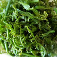 PAKIS SAYUR LEZAT