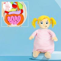 Human Organ Plush Toy Anatomy Human Body Organ Awareness Early