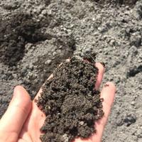 Pasir Cimangkok Sukabumi Pasang Plester Cor Truk