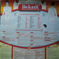 Poster Panduan Praktis Pengobatan Bekam Original