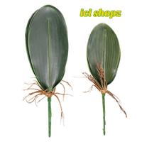 Daun Anggrek latex artificial