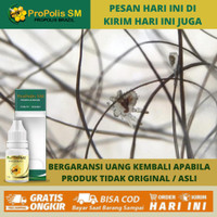 Obat Tetes Kutu Kemaluan 100 Alami - Gatal di kemaluan Obat Gatal
