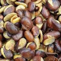 kacang koro kulit1kg Termurah