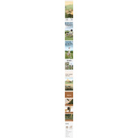 Outdoor Folding Chairs Portable Lounge Chairs Picnic Tables Fishing .