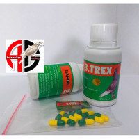 B TREX XES4 BARON MEATI PER BUTIR