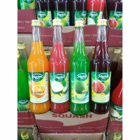 10,10 MARJAN Syrup Squash 450Ml